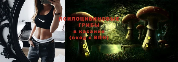 ECSTASY Гусев