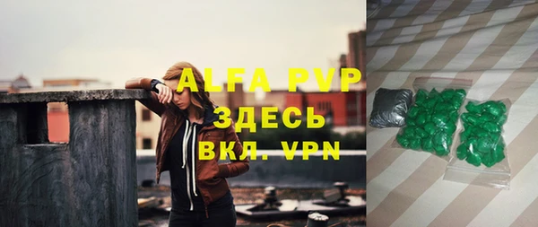 ECSTASY Гусев