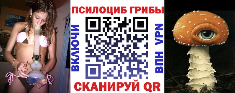 Галлюциногенные грибы Cubensis  Купить закладки  Котельники 